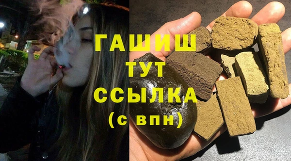 хмурый Каменка