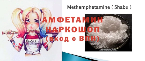хмурый Каменка