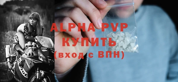 молекула духа Каменногорск