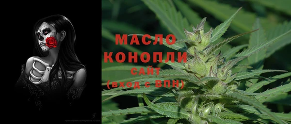 хмурый Каменка