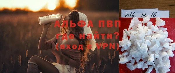 молекула духа Каменногорск