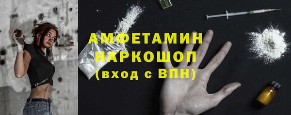 хмурый Каменка