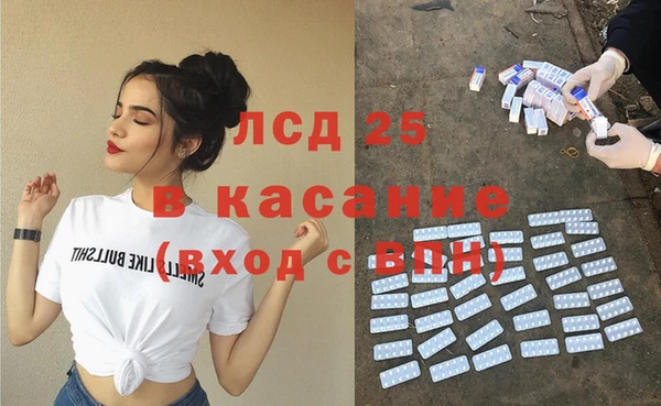 молекула духа Каменногорск