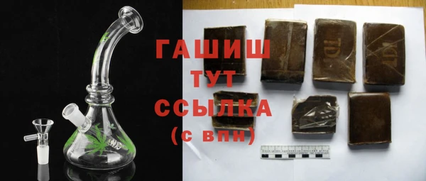 хмурый Каменка