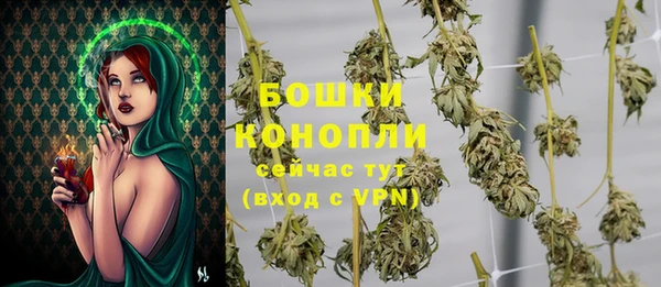 индика Инсар