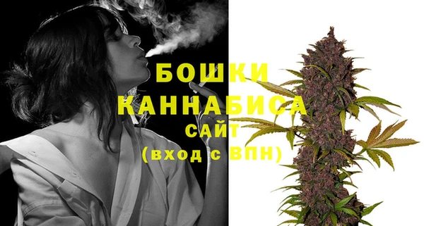 хмурый Каменка